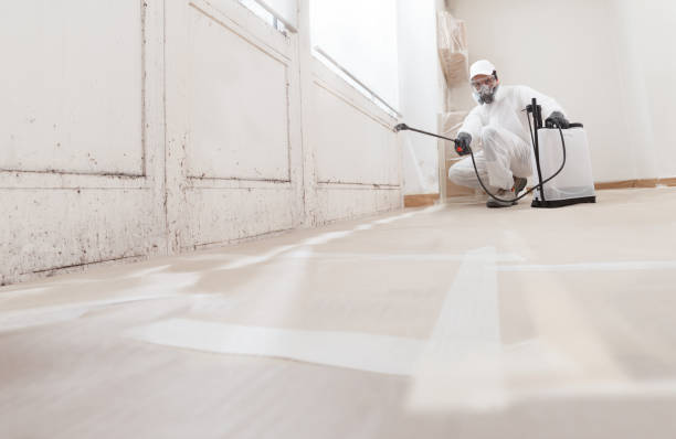 24/7 Emergency Mold Remediation experts in Castle Rock, WA