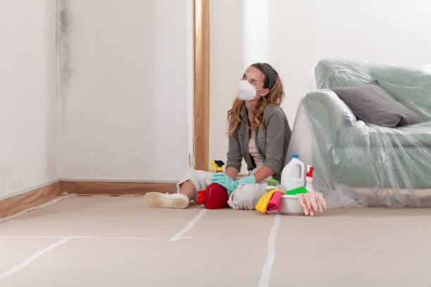 Reliable Mold Remediation contractor in Castle Rock, WA by 24 Hour Mold Removal
